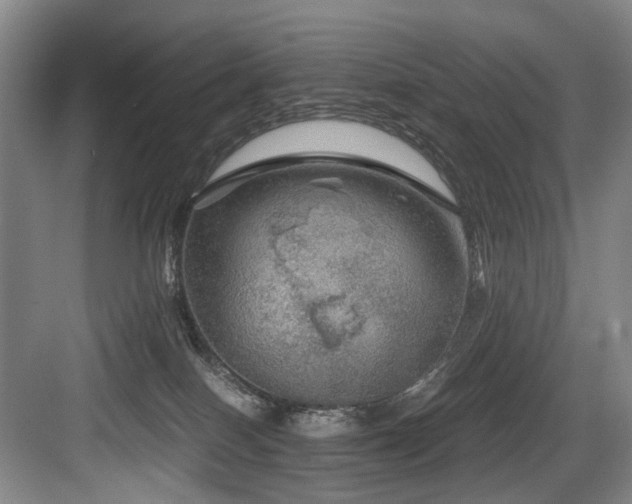 X0000084030086200702161445