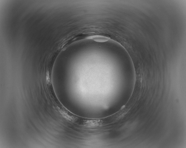 X0000084030089200702161446