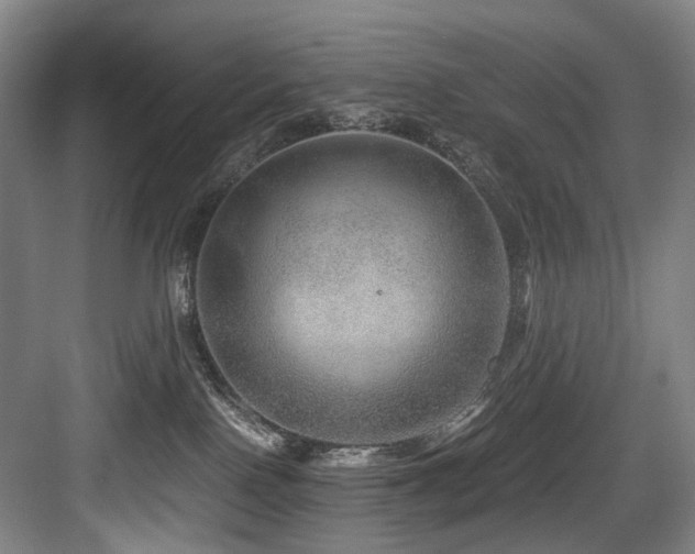 X0000084030090200702161446