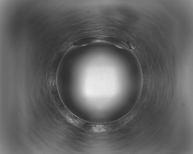 X0000084030091200702161446