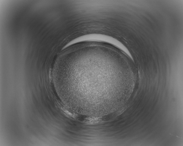 X0000084030093200702161446