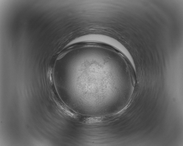 X0000084030094200702161446