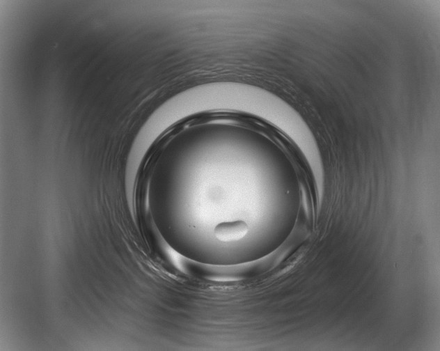 X0000084030095200702161446