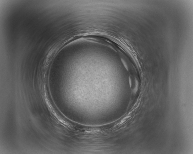 X0000084030097200702161445