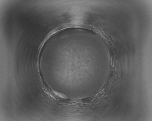 X0000084030099200702161445