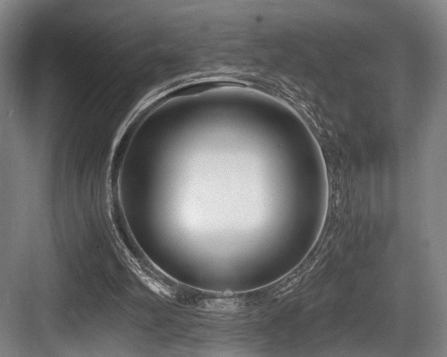 X0000084030102200702161445