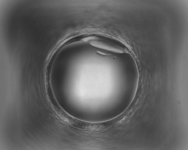 X0000084030103200702161445