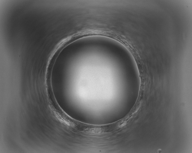 X0000084030104200702161445