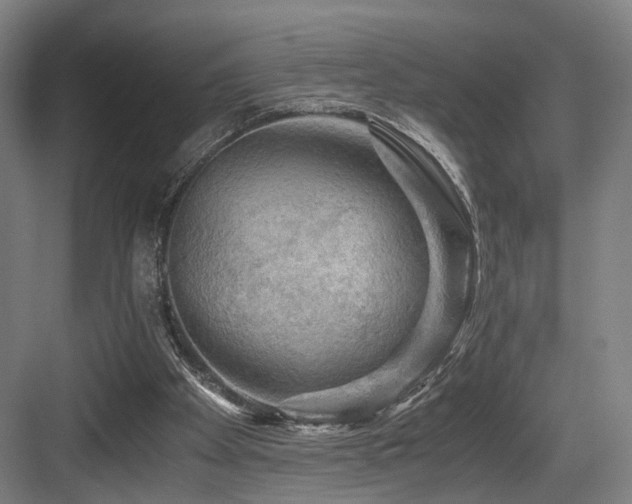 X0000084030105200702161445