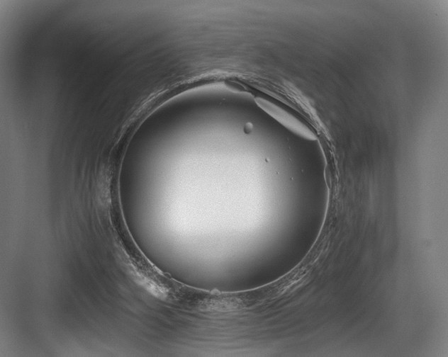 X0000084030106200702161445