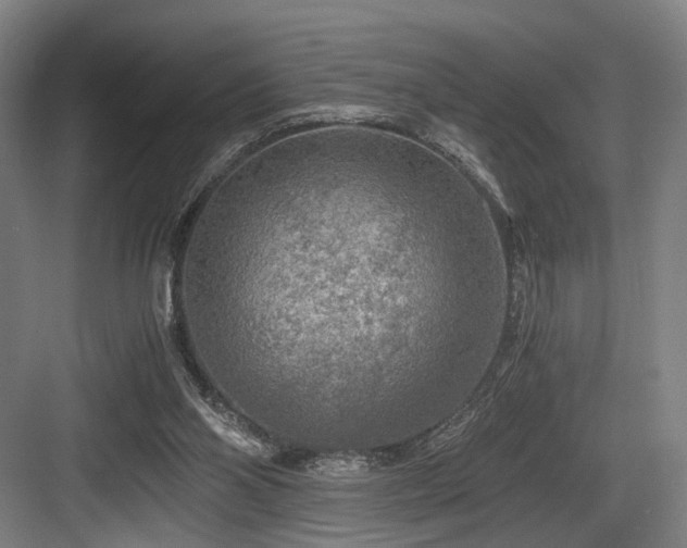 X0000084030110200702161445