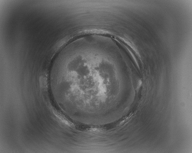 X0000084030111200702161445