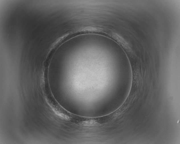 X0000084030112200702161445