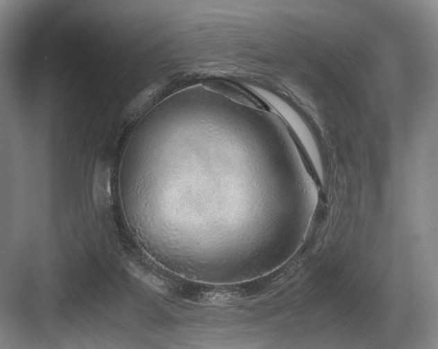 X0000084030115200702161445