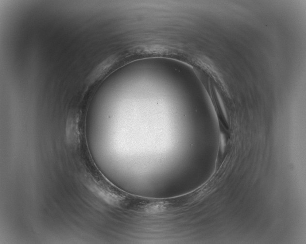 X0000084030116200702161445