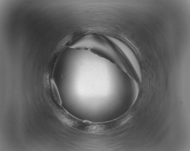 X0000084030117200702161445