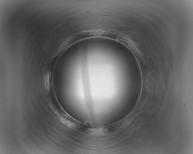 X0000084030118200702161444