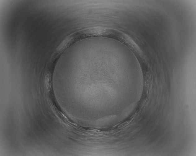 X0000084030119200702161444