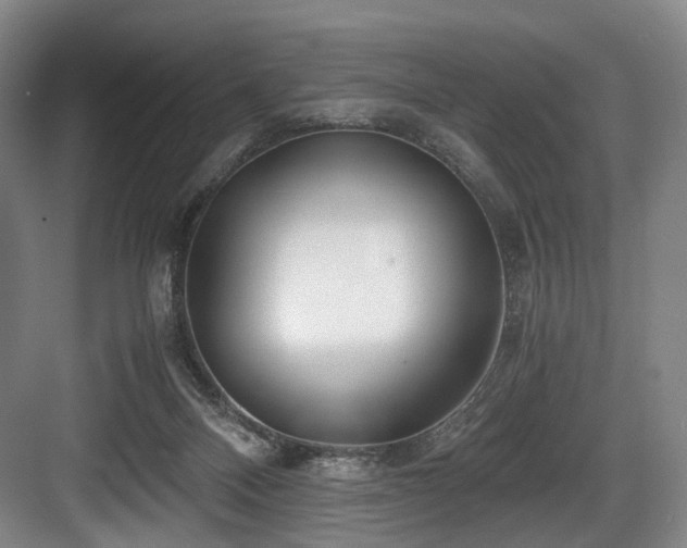 X0000084030120200702161444