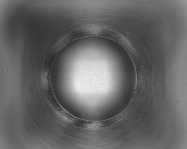 X0000084030122200702161444