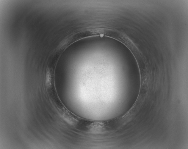 X0000084030124200702161444