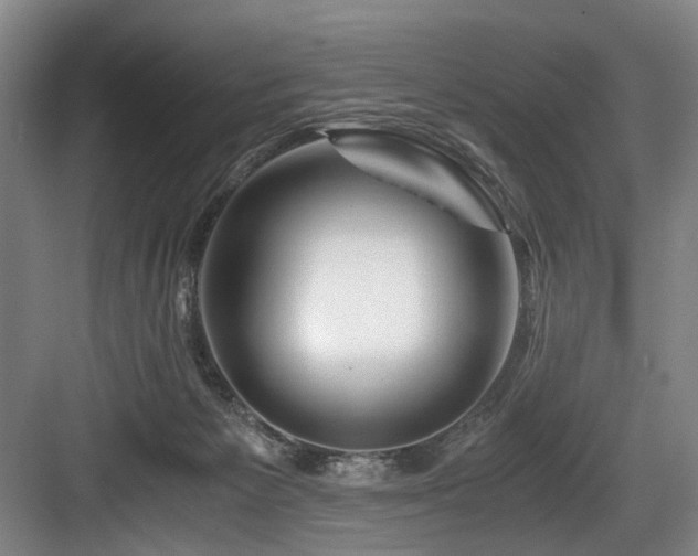 X0000084030125200702161444