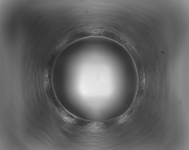 X0000084030128200702161444