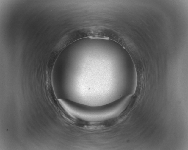 X0000084030129200702161444