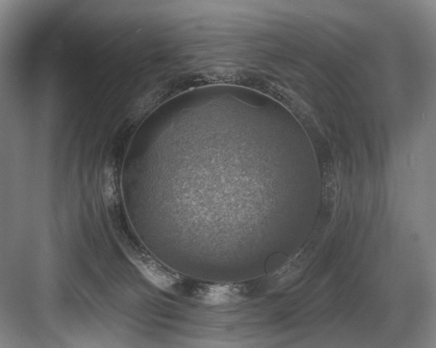 X0000084030130200702161444