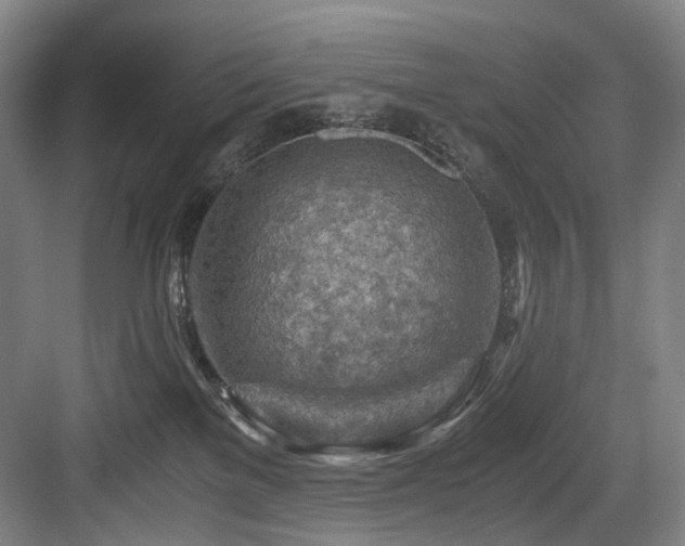 X0000084030137200702161444