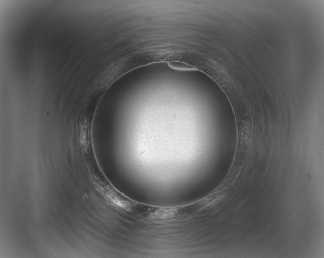 X0000084030138200702161444