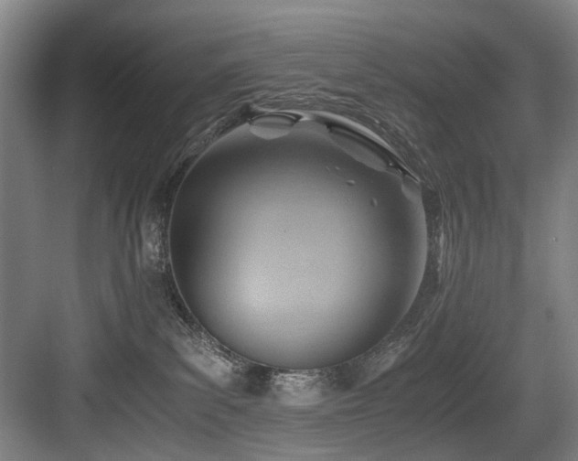 X0000084030139200702161444