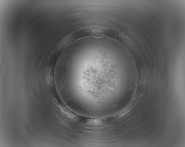 X0000084030140200702161444