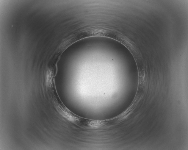 X0000084030142200702161444