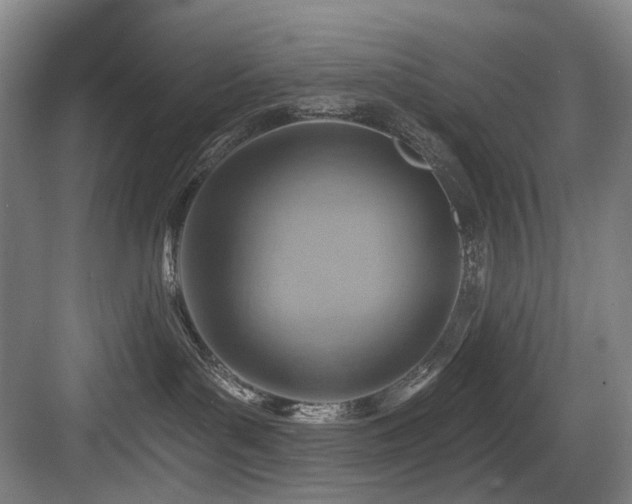 X0000084030143200702161444