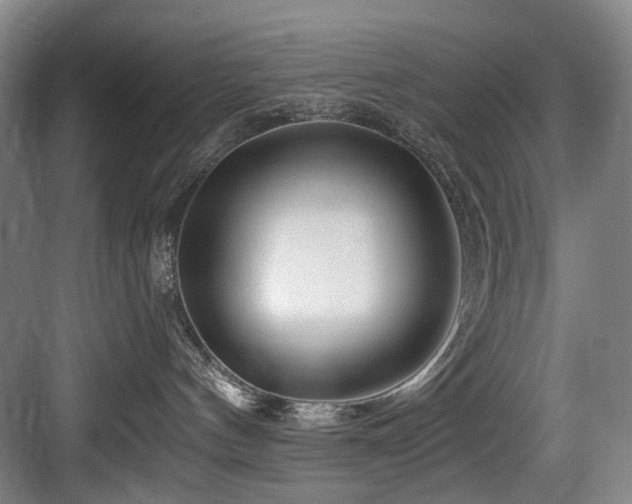 X0000084030144200702161444