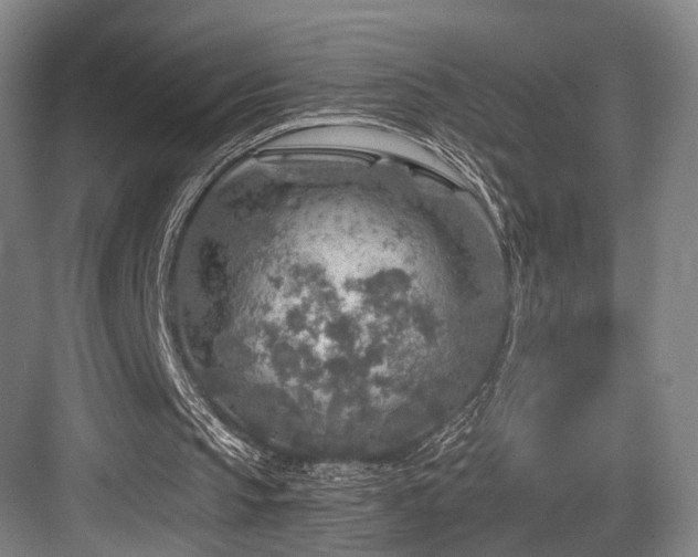 X0000084030145200702161443