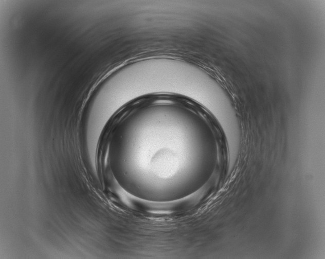 X0000084030146200702161443