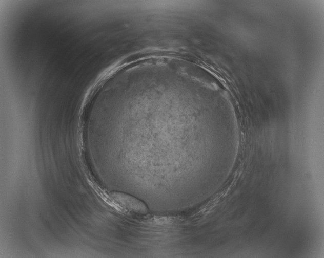 X0000084030149200702161443