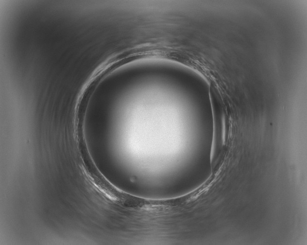 X0000084030150200702161443