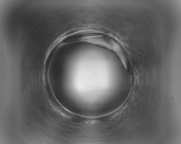 X0000084030152200702161443