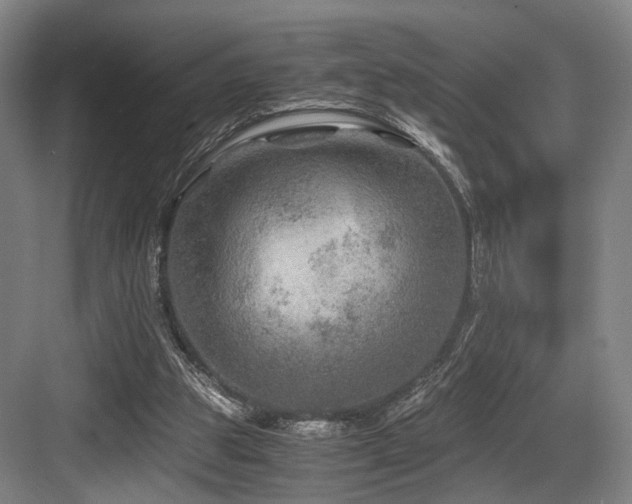 X0000084030153200702161443