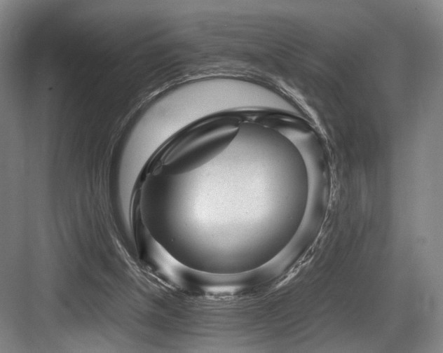 X0000084030154200702161443