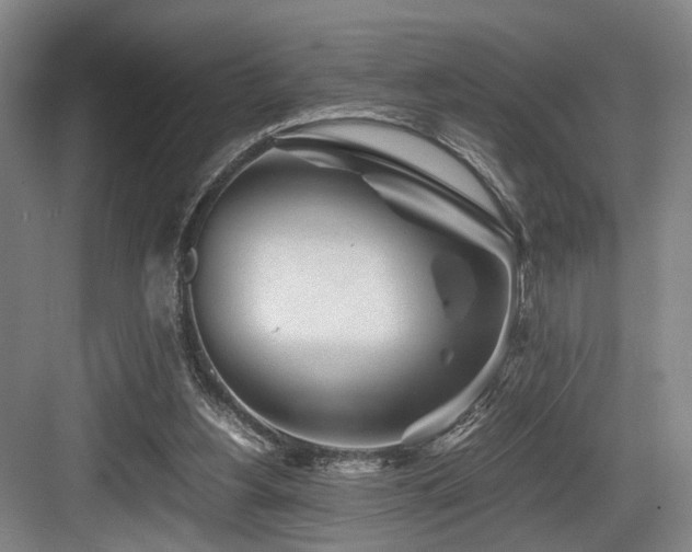 X0000084030156200702161443