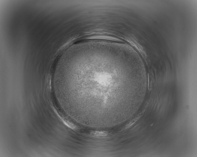 X0000084030157200702161443