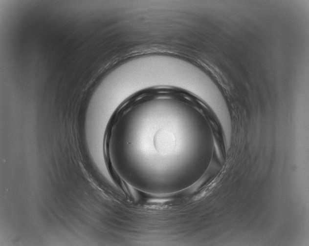 X0000084030158200702161443