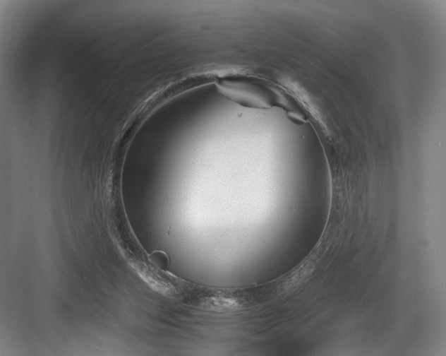 X0000084030159200702161443