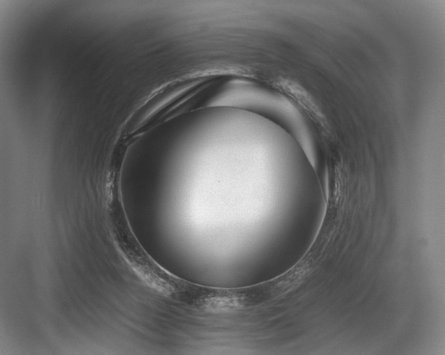 X0000084030160200702161443