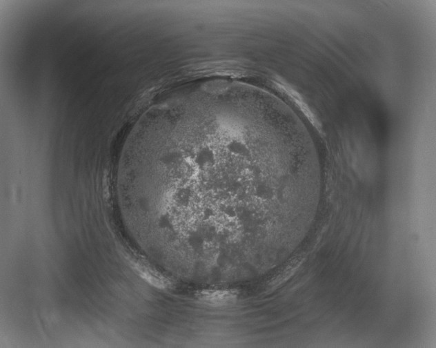 X0000084030161200702161444