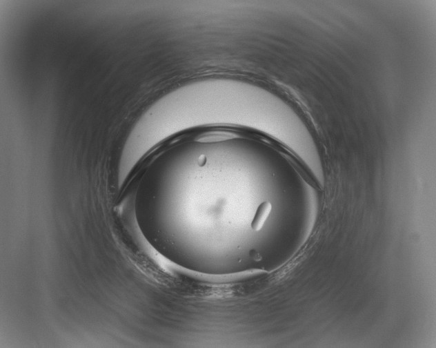 X0000084030162200702161444